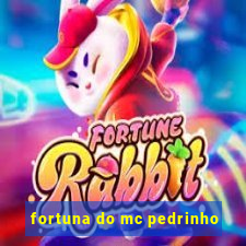 fortuna do mc pedrinho