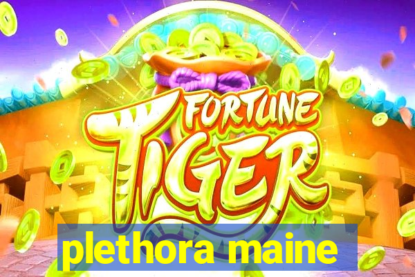 plethora maine