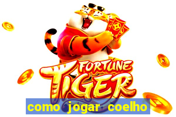 como jogar coelho da fortuna