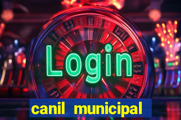 canil municipal porto alegre