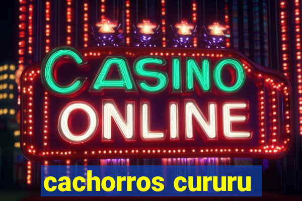 cachorros cururu