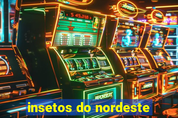 insetos do nordeste