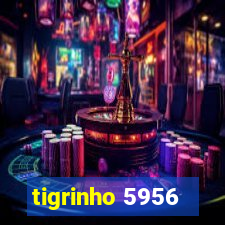 tigrinho 5956