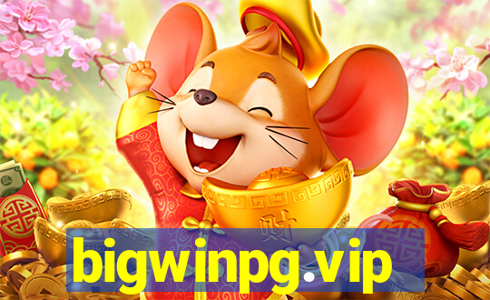 bigwinpg.vip